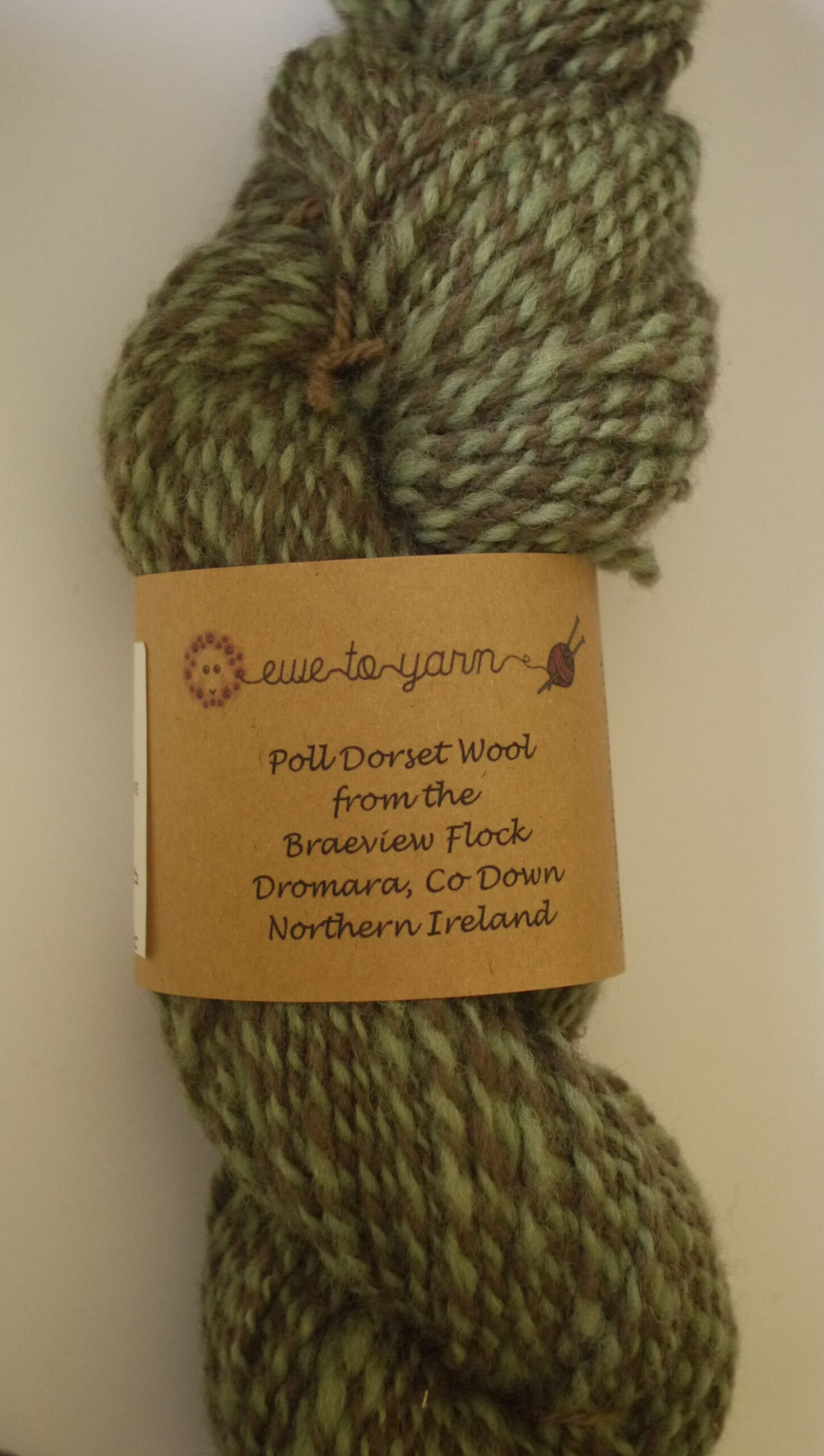 Handspun Yarn - “Choco Mint”